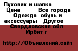 Пуховик и шапка  Adidas  › Цена ­ 100 - Все города Одежда, обувь и аксессуары » Другое   . Свердловская обл.,Ирбит г.